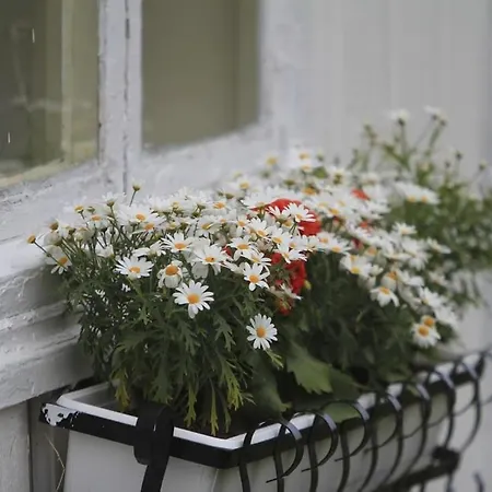 別荘 Edvin - Slow Living