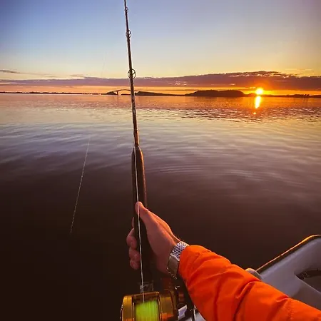 Edvin - Slow Living *