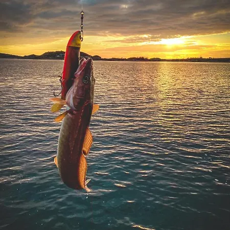 Edvin - Slow Living 別荘