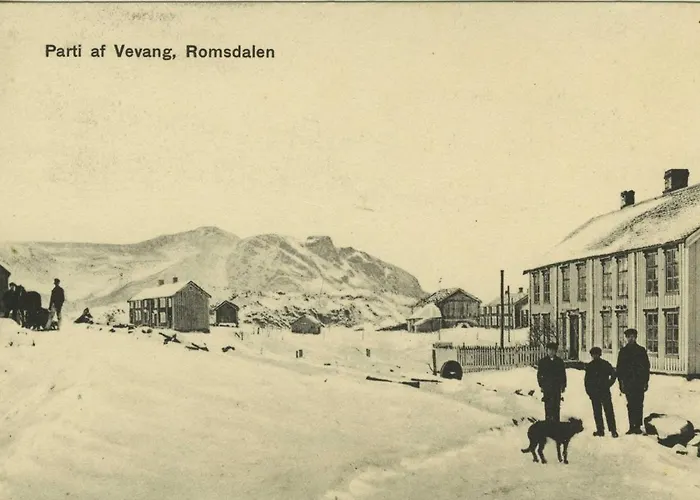 Edvin - Slow Living Eide (More og Romsdal)