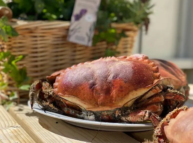 Edvin - Slow Living Feriehus