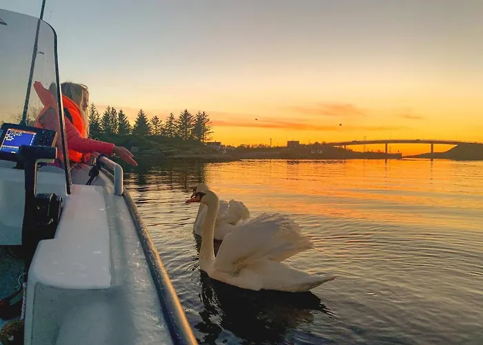 Edvin - Slow Living Hébergement de vacances *