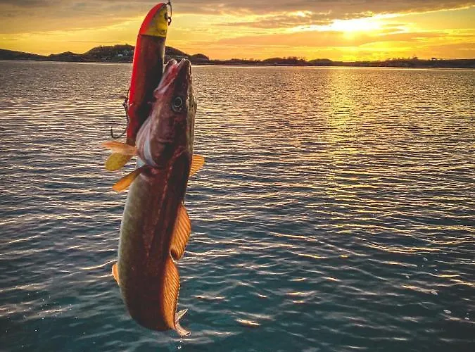 Edvin - Slow Living Hébergement de vacances