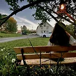 Edvin - Slow Living 度假居 *
