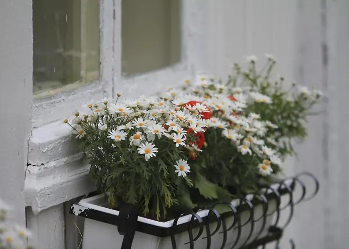 Feriehus Edvin - Slow Living